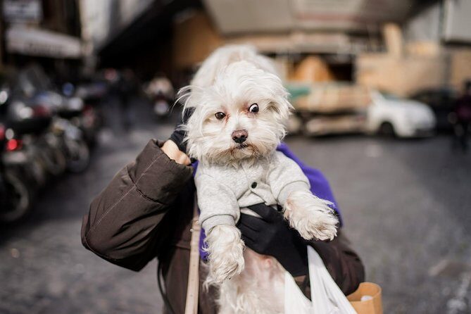 Rome Street Photography Lesson - Frequently Asked Questions