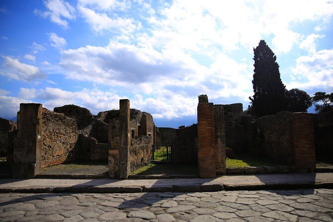 Rome to Pompeii & Herculaneum Trip with Hotel Pickup & Skip-the-line Tickets - Who Is This Tour Best For?