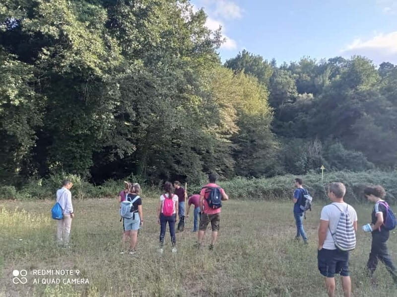 Rome: Trekking to Cesano's Woods - A Closer Look at the Trekking Experience