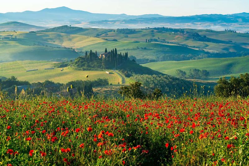 Rome: Tuscany & Montepulciano Day Trip with Lunch & Wines - Pienza free time: your one-hour window for Pecorino and viewpoints