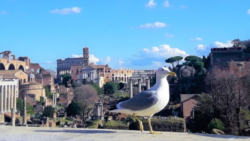 Rome: Vatican & Colosseum Experience with Lunch & Transfers - Final Thoughts: Who Will Love This Tour?