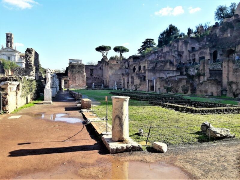Rome: Vatican, Colosseum & Main Squares Tour w/ Lunch & Car - Practical Details and Considerations