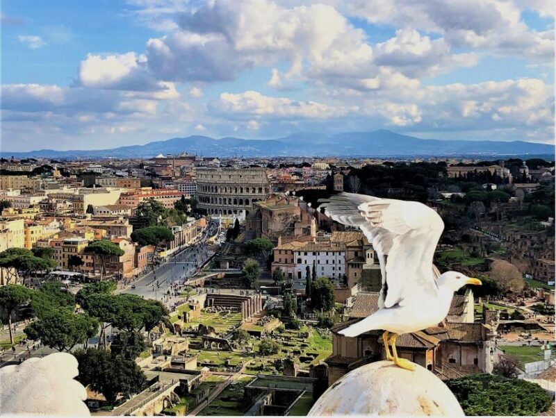 Rome: Vatican, Colosseum & Main Squares Tour w/ Lunch & Car - The Sum Up