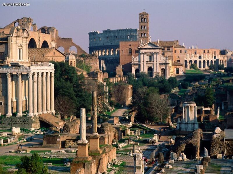 Rome: VIP Colosseum, Roman Forum, Palatine Hill Experience - Who Is This Tour Best For?