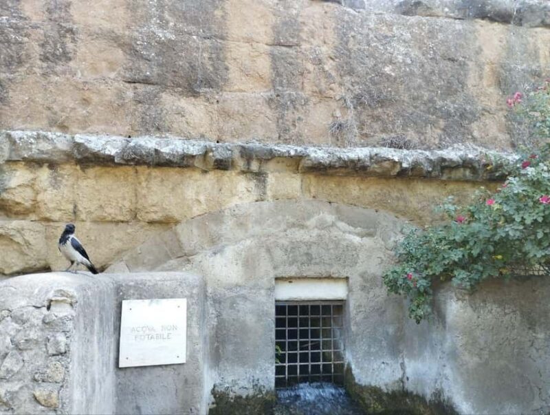 Rome: Walking Tour to the Park of the Aqueducts - An Honest Look at the Experience