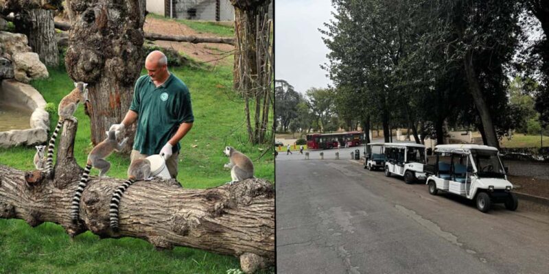 Rome: Zoo entry ticket + Villa Borghese Golf Cart Tour - Exploring Villa Borghese in a Flash