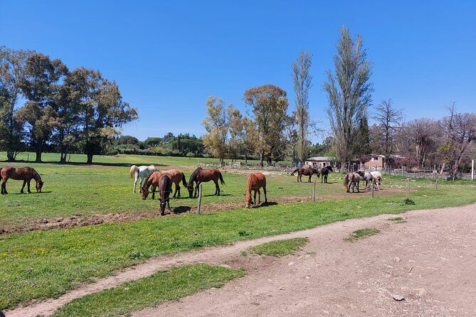 Rome's Ultimate Bike Tour - Frequently Asked Questions