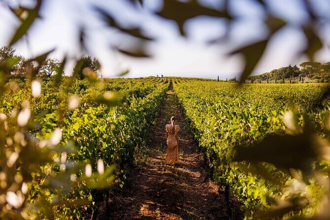 Rome's Vineyard Symphony: Countryside Winetasting Experience - FAQ