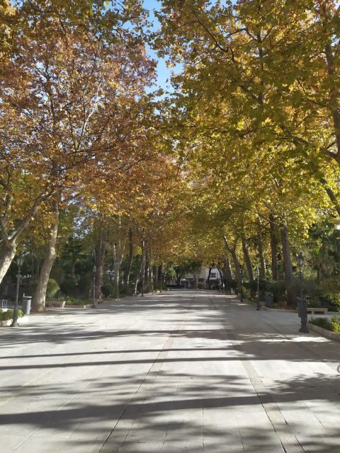 Ronda: 2-Hour Private Walking Tour - Walking Through Ronda: What You Can Expect