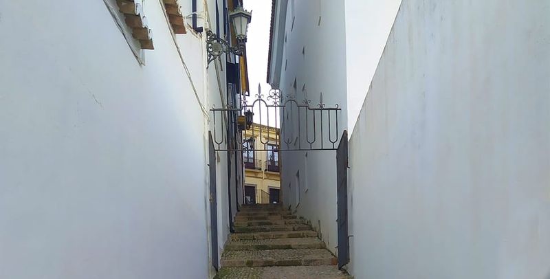 Ronda and Setenil Tour with Free Time and Map from Málaga - The guides you might meet: JJ, Ramón, Mercedes, Marta, and more