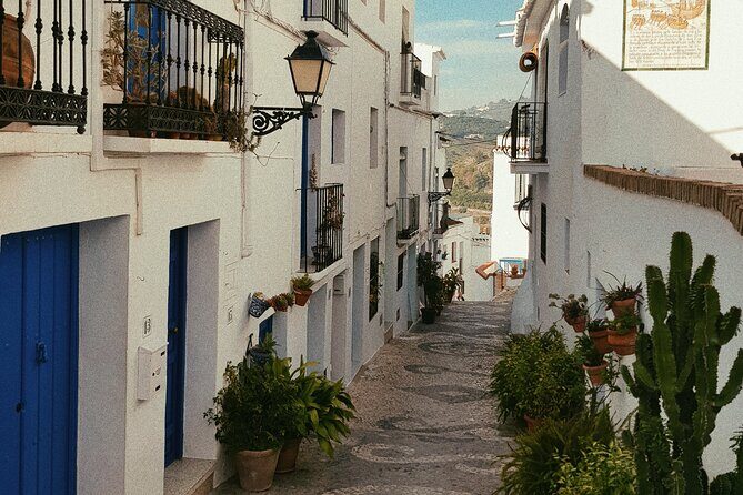 Ronda and White Villages from Seville-Small Group-Private Van - A Deep Dive into the Itinerary