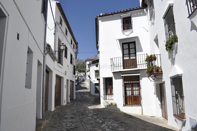 Ronda and White Villages Guided Day Tour from Seville - FAQ