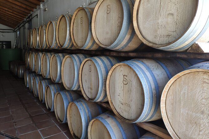 Ronda Organic Wine Tour from Marbella - Who Should Consider This Tour?