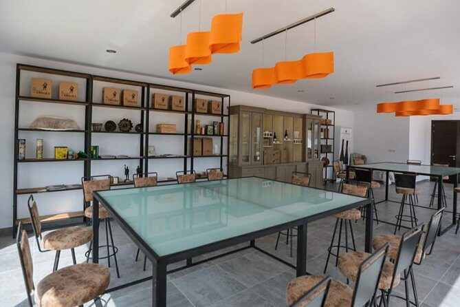 Ronda Private Wine Tour and Tapas from Marbella - Who Is This Tour Best For?