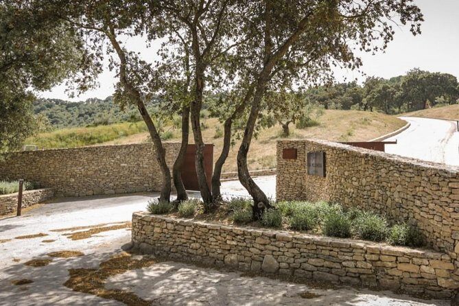 Ronda Private Wine Tour + Free Time in Ronda - FAQ