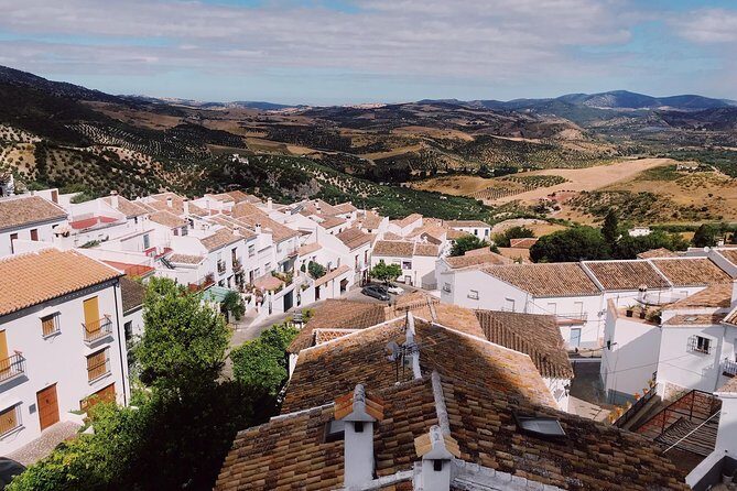 Ronda & White Villages Small Group Tour from Seville - Who Is This Tour Best For?