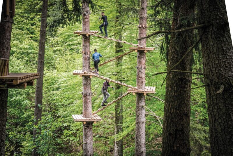 Rope Park Interlaken: Climbing Adventure with Entry Ticket - The Sum Up
