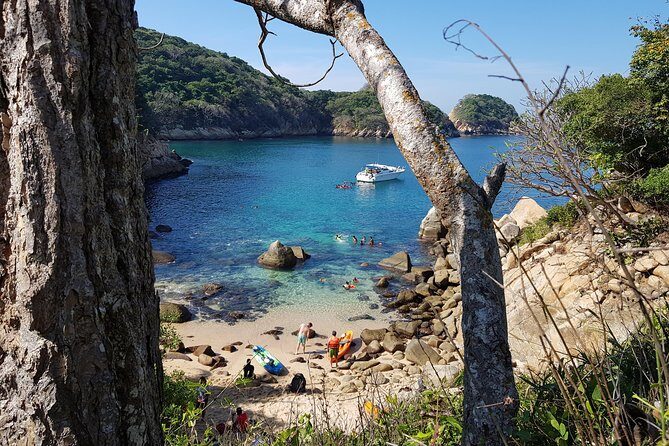 Roqueta Island: Hike, Snorkel & Beach Escape with Lunch + Drink - Authentic Feedback and Highlights from Travelers