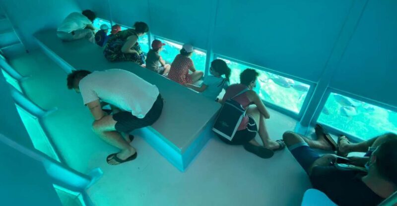 Roses: Costa Brava Catamaran Trip with Underwater Views - An In-Depth Look at the Costa Brava Catamaran Experience