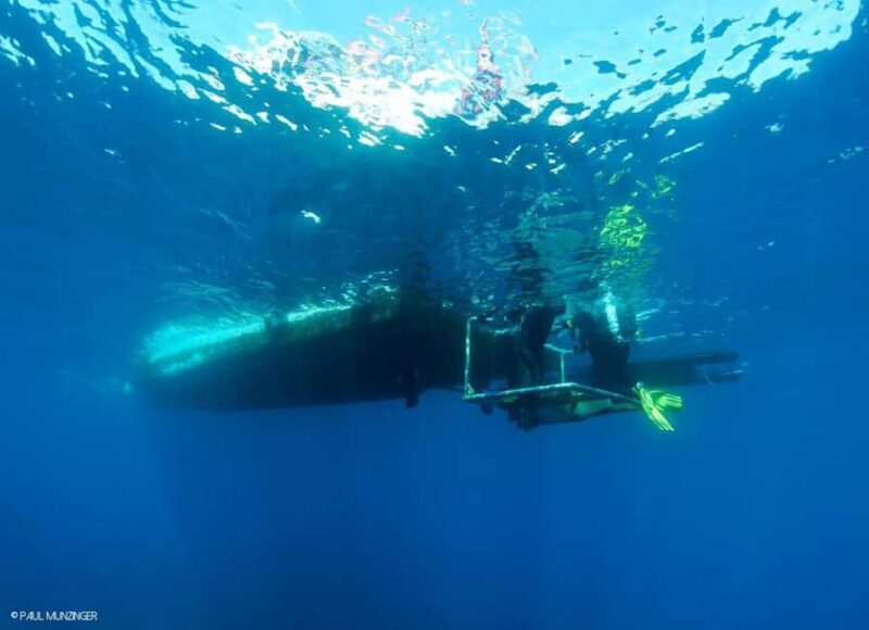 Roses: PADI Discover Scuba Diving Experience - Practical Details and Whats Included