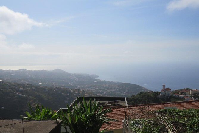 Rota do Vinho - Wine Route (Half Day Walk) - What to Expect from the Rota do Vinho Tour