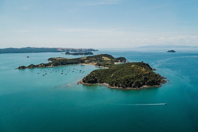 Rotoroa Island Ferry - from Auckland - The Journey Begins: How the Tour Unfolds
