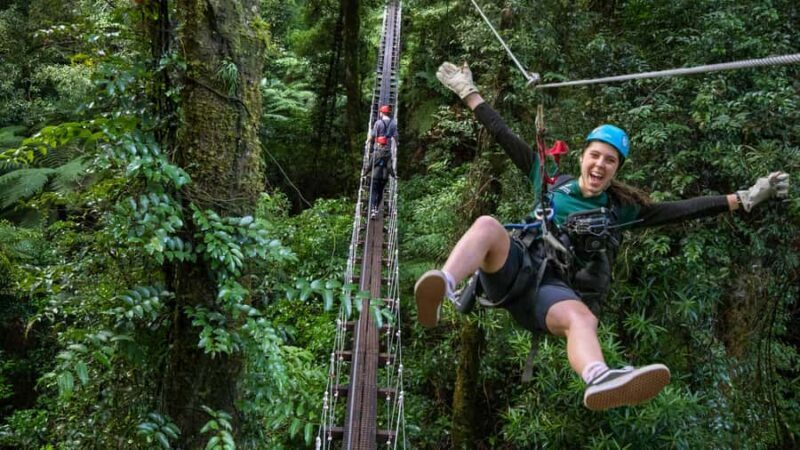 Rotorua: 6 Ziplines, Swing-Bridges & Wildlife Encounters - What to Expect from This Zipline Experience