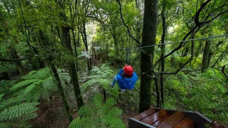 Rotorua: 6 Ziplines, Swing-Bridges & Wildlife Encounters - The Transportation & Schedule