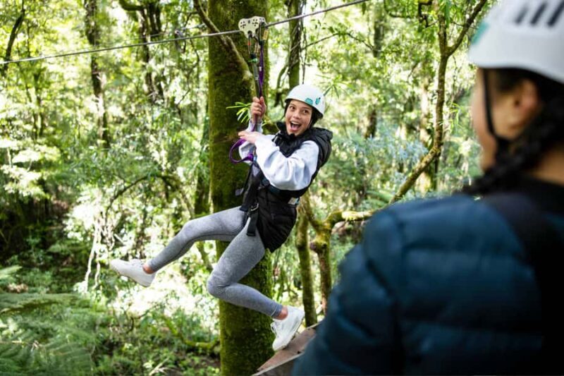 Rotorua: 6 Ziplines, Swing-Bridges & Wildlife Encounters - Why Many Reviewers Rave About Their Guides