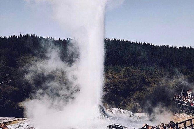 Rotorua based Small Group Morning Tour Waimangu and Wai O Tapu - Final Thoughts