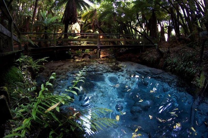 Rotorua Cultural & Geothermal Small Group Tour From Auckland - An In-Depth Look at the Tour Experience