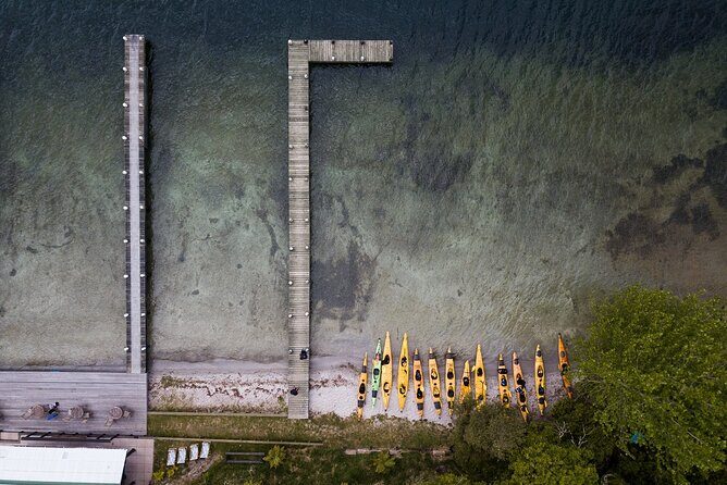 Rotorua: Daytime Scenic Lake Rotoiti Kayak Tour - Who Should Consider This Tour?