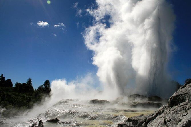 Rotorua Discovery Te Puia Tour - The Transport and Guide Experience