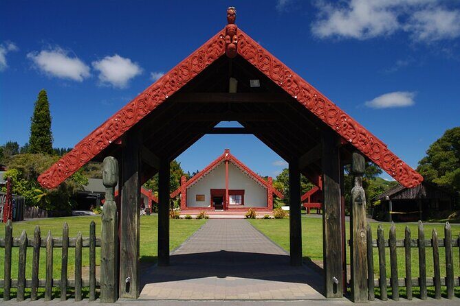 Rotorua Discovery Te Puia Tour - The Sum Up