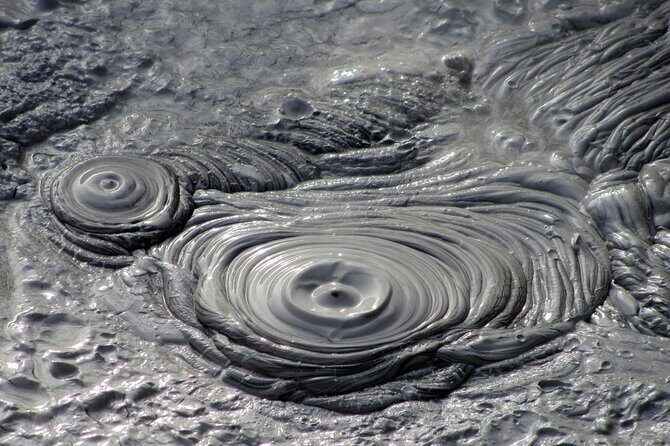 Rotorua Discovery Te Puia Tour - FAQ