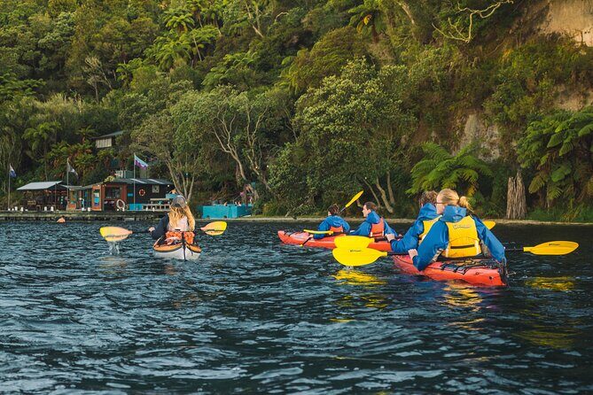 Rotorua: Evening Starlight Gourmet Kayak Tour Glowworms - What is the Rotorua Evening Starlight Gourmet Kayak Tour?