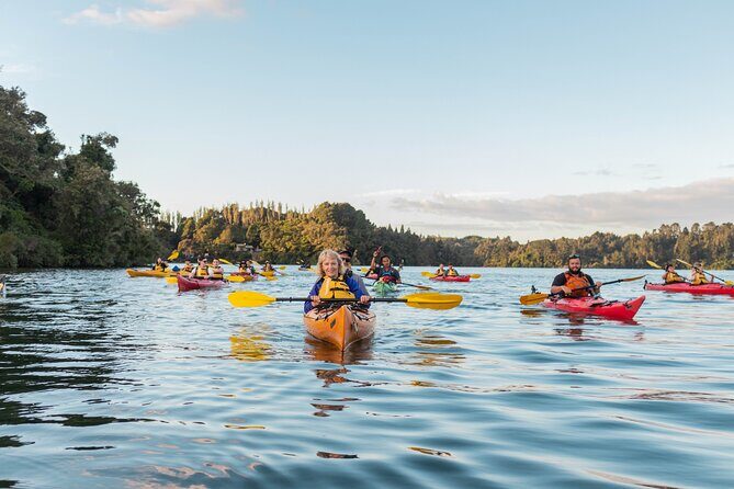Rotorua: Evening Starlight Gourmet Kayak Tour Glowworms - The Balance of Price and Value