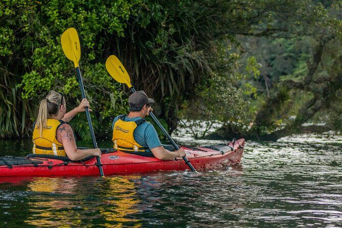 Rotorua: Evening Starlight Gourmet Kayak Tour Glowworms - The Group Size & Timing