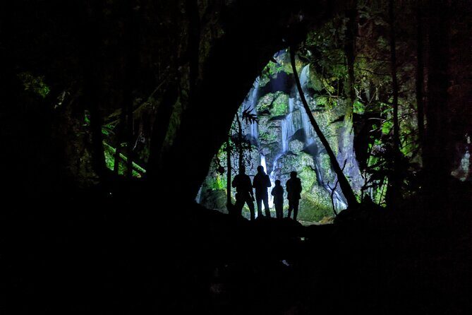 Rotorua: Evening Starlight Gourmet Kayak Tour Glowworms - The Downsides & Considerations