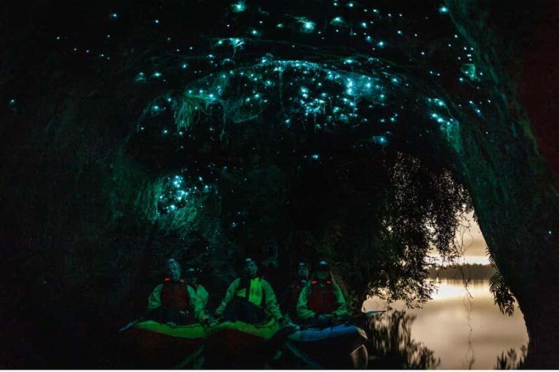 Rotorua: Glow Worm Adventure Kayak - What Is the Rotorua Glow Worm Kayak Tour?