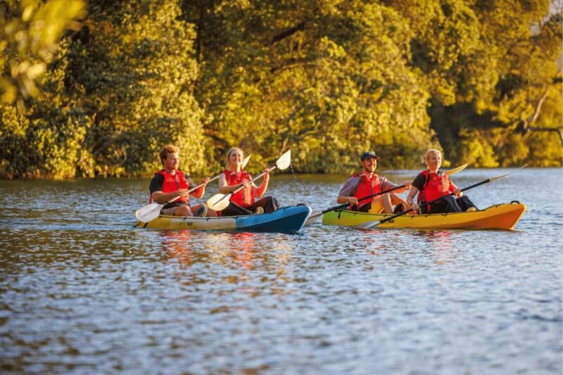 Rotorua: Glow Worm Adventure Kayak - Stargazing and the Celestial Show