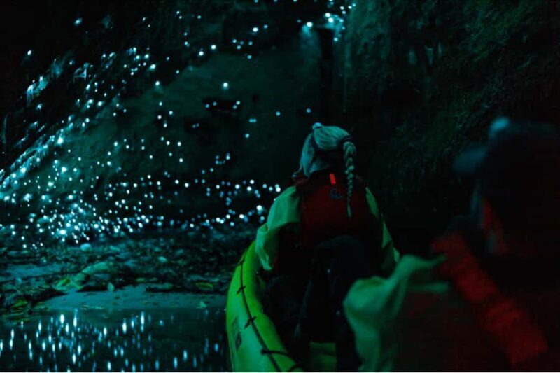 Rotorua: Glow Worm Adventure Kayak - What Makes This Tour Stand Out?