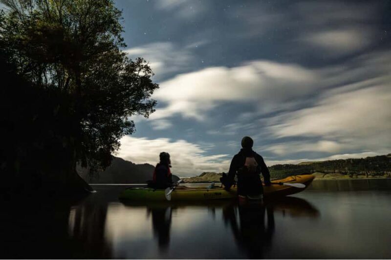 Rotorua: Glow Worm Kayak Tour - Key Points