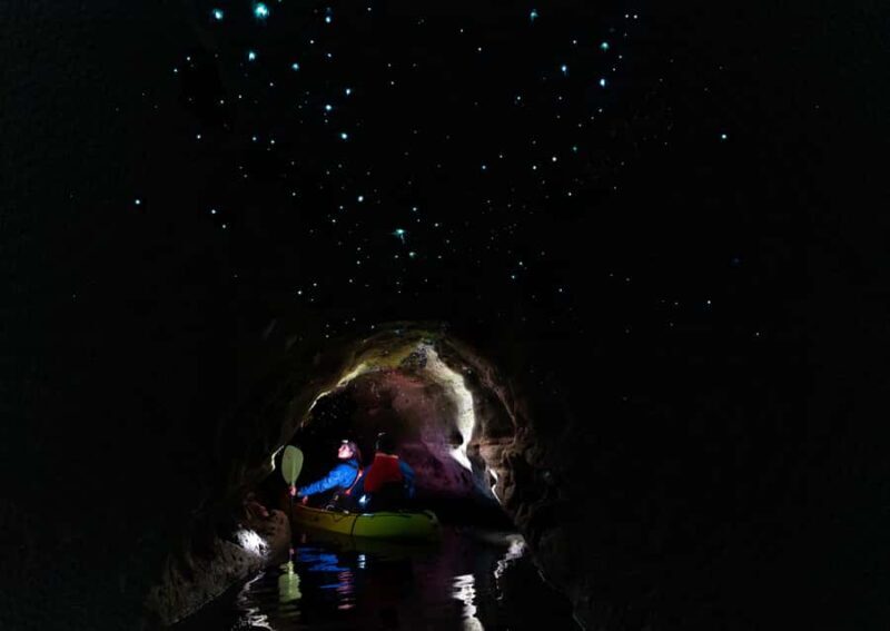 Rotorua: Glow Worm Kayak Tour - A Closer Look at the Glow Worm Kayak Tour