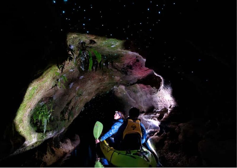 Rotorua: Glow Worm Kayak Tour - Practical Details and Booking Info