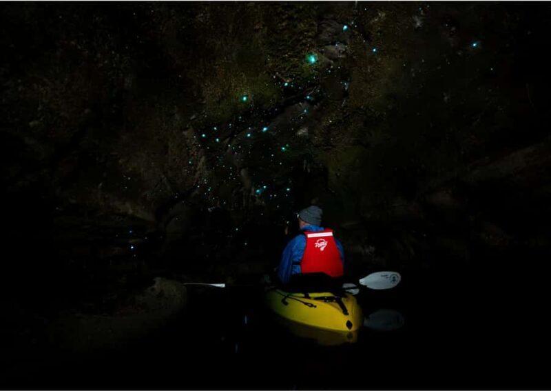 Rotorua: Glow Worm Kayak Tour - Final Thoughts