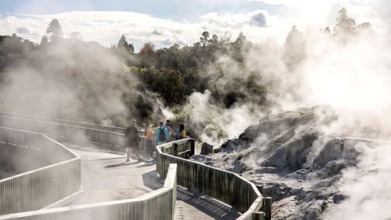 Rotorua: Glowworm Cave, Redwoods Forest & Te Puia Tour - Key Points