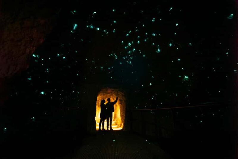 Rotorua: Glowworm Cave, Redwoods Forest & Te Puia Tour - An In-Depth Look at the Tour