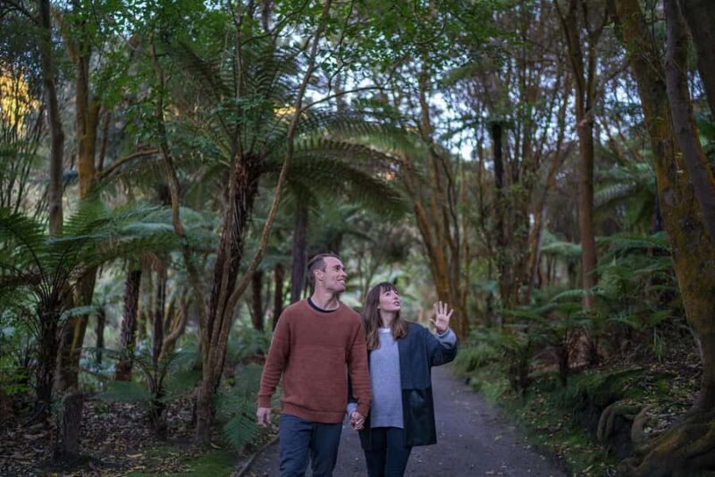 Rotorua: Hell's Gate Outdoor Mud Spa & Guided Walk - Key Points