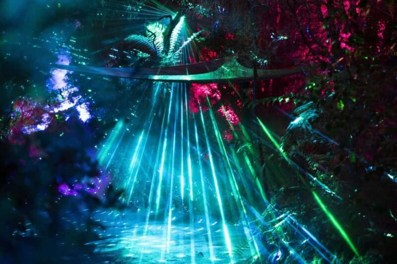 Rotorua: Marama Geyser Light Trail & Geothermal Experience - Final Thoughts: Who Is It For?